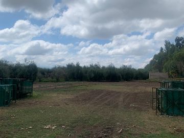Finca en  9 de Julio