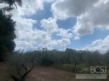 Finca en  9 de Julio