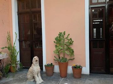 Casa de corte antiguo  - Temperley Oeste