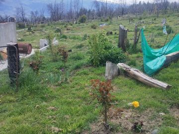 2.5 hectáreas golondrinas Chubut. con Arroyo permanente!!