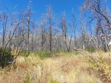 2.5 hectáreas golondrinas Chubut. con Arroyo permanente!!