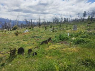 2.5 hectáreas golondrinas Chubut. con Arroyo permanente!!
