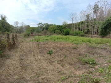 Land for sale in Mae Faek Mai, Chiang Mai
