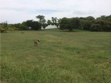 Se vende terreno en punta roca san carlos