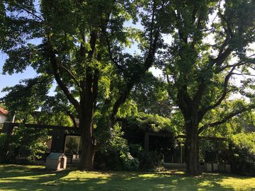 Casa 4 Ambientes en Lote de 2100 m2 Barrio Semicerrado - El Cortijo
