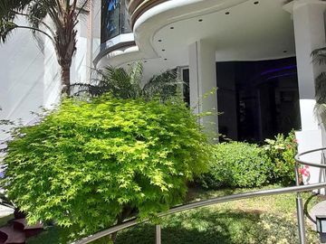 Departamento en Ramos Mejia Sur