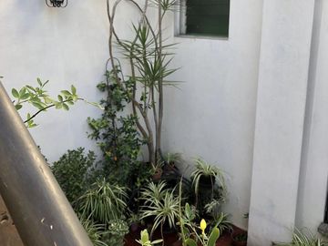 Local   Piso de 4 ambientes con terraza en PA - Venta Directa!!!