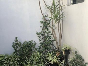 Local   Piso de 4 ambientes con terraza en PA - Venta Directa!!!