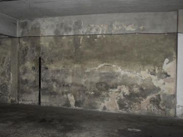 Departamento. 51 entre 3 y 4.  2 dormitorios. Cochera.