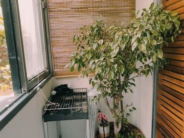 Dpto en Venta - 3 dorm en Nva Cordoba