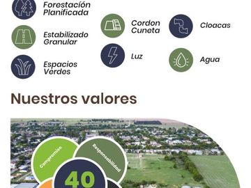 Terreno - Salto Grande - loteo - inversion