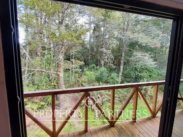 Casa en medio de bosque nativo con estero en Panguilelfún