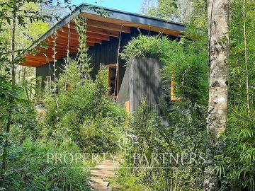 Casa bosque en terreno de media ha en Panguilelfún