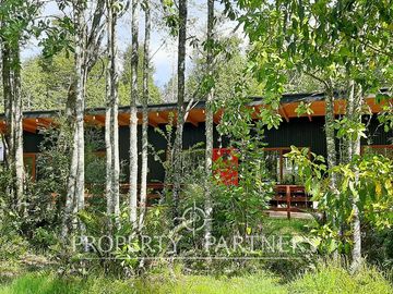 Casa bosque en terreno de media ha en Panguilelfún