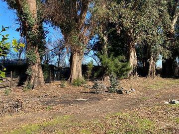 Agrícola en Venta en Sector Rural de Parral, Parcela de 1,2 hás útiles. conectividad, tranquilidad, servicios