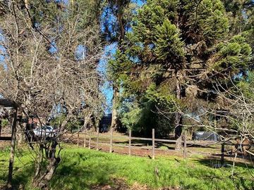 Agrícola en Venta en Sector Rural de Parral, Parcela de 1,2 hás útiles. conectividad, tranquilidad, servicios