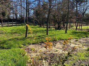 Agrícola en Venta en Sector Rural de Parral, Parcela de 1,2 hás útiles. conectividad, tranquilidad, servicios
