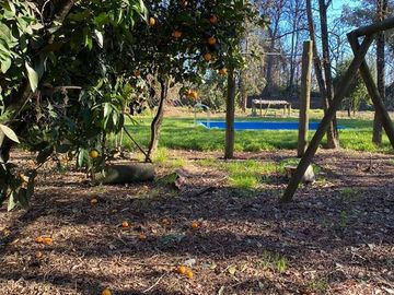 Agrícola en Venta en Sector Rural de Parral, Parcela de 1,2 hás útiles. conectividad, tranquilidad, servicios