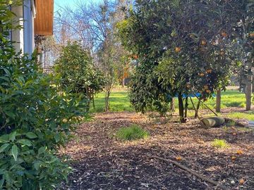 Agrícola en Venta en Sector Rural de Parral, Parcela de 1,2 hás útiles. conectividad, tranquilidad, servicios