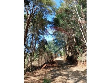 Venta de parcela en casa blanca valdivia