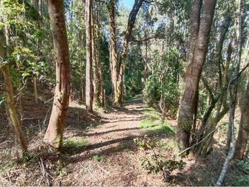 Venta de parcela en casa blanca valdivia