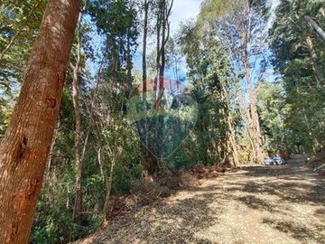 Venta de parcela en casa blanca valdivia