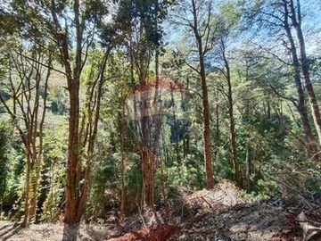 Venta de parcela en casa blanca valdivia