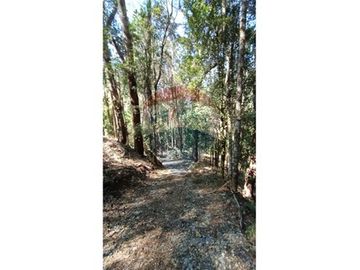Venta de parcela en casa blanca valdivia
