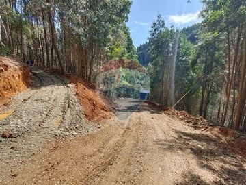 Venta de parcela en casa blanca valdivia