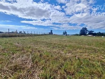 Parcela en Venta en C59008 - Venta Parcelas Purranque 5.000 mts2 - Los Lagos