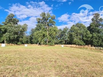 Parcela en Venta en C59008 - Venta Parcelas Purranque 5.000 mts2 - Los Lagos