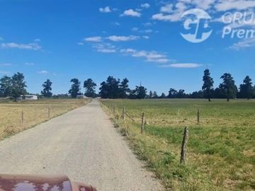 Parcela en Venta en C59008 - Venta Parcelas Purranque 5.000 mts2 - Los Lagos