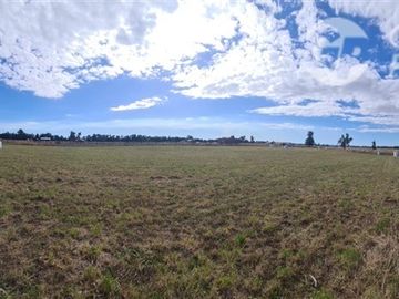 Parcela en Venta en C59008 - Venta Parcelas Purranque 5.000 mts2 - Los Lagos