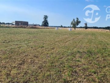 Parcela en Venta en C59008 - Venta Parcelas Purranque 5.000 mts2 - Los Lagos