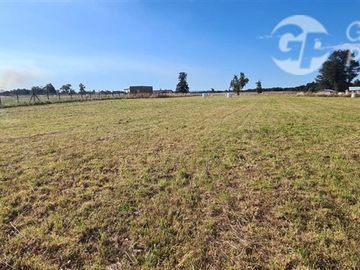 Parcela en Venta en C59008 - Venta Parcelas Purranque 5.000 mts2 - Los Lagos