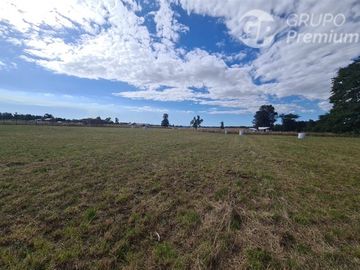 Parcela en Venta en C59008 - Venta Parcelas Purranque 5.000 mts2 - Los Lagos