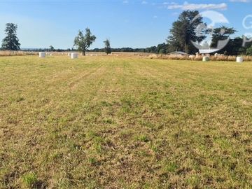 Parcela en Venta en C59008 - Venta Parcelas Purranque 5.000 mts2 - Los Lagos