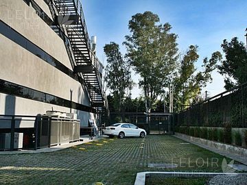Oficina | MARTIN FIERRO