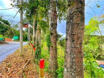 Se Vende Casa Hostal Campestre en Salento Quindio
