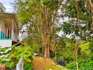 Se Vende Casa Hostal Campestre en Salento Quindio