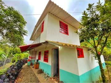 Se Vende Casa Hostal Campestre en Salento Quindio
