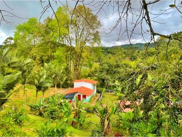 Se Vende Casa Hostal Campestre en Salento Quindio