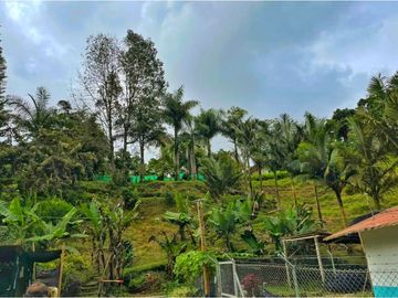 Se Vende Casa Hostal Campestre en Salento Quindio
