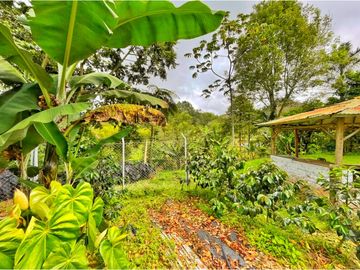 Se Vende Casa Hostal Campestre en Salento Quindio