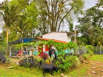 Se Vende Casa Hostal Campestre en Salento Quindio