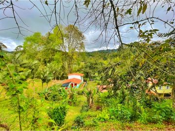 Se Vende Casa Hostal Campestre en Salento Quindio