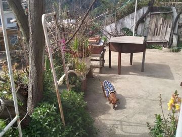 Terreno en Venta en Bernardo O´Higgins