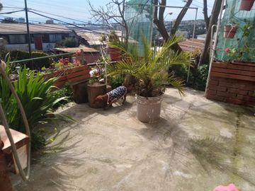 Terreno en Venta en Bernardo O´Higgins