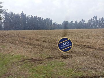 Parcela en Venta en Hijuelas 2