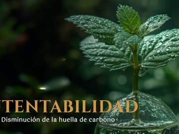Preventa Exclusiva en San Miguel de Allende! Residencias Premium desde $11,300,0